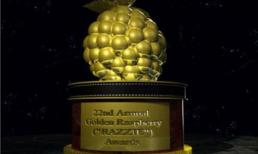 Tiết lộ danh sách đề cử Mâm xôi vàng