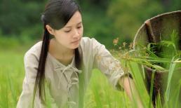 Điểm danh 5 mỹ nhân Việt mùa phim Tết Nhâm Thìn