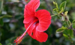 Thứ sáu của bạn (3/2)