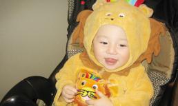 Năm 'cậu trai' mới nổi hot nhất showbiz Việt