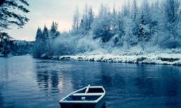 Chủ nhật của bạn (5/2)