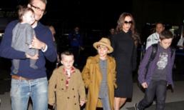 Gia đình Beckham muốn có thêm thành viên thứ 7 