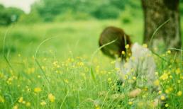 Những bài học sâu sắc về tình yêu dành cho bạn