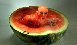 Sinh viên xưa, “Học - ăn - và thơ” 