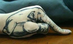 Những bức ảnh gợi trí tò mò