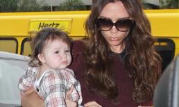 Bé Harper nhà Beck làm náo loạn ở sân bay