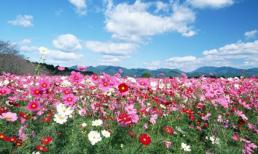 Thứ tư của bạn (8/2) 