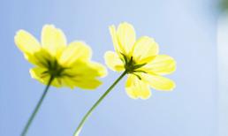 Thứ năm của bạn (9/2)