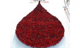 Sinh viên tạo hình giọt máu khổng lồ