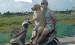 Những "chiêu cười độc" của cộng đồng (P10)