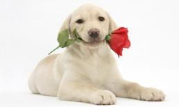 Thứ Tư của bạn (14/3/2012)