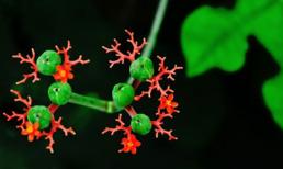 Thứ Năm của bạn (15/3/2012)