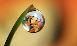 Thứ Sáu của bạn (16/3/2012)