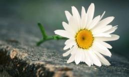 Thứ bảy của bạn (17/3)