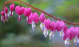 Chủ Nhật của bạn (18/3/2012)