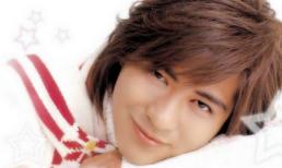 Những 'bạch mã hoàng tử' làm mưa gió một thời