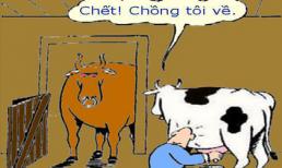 Những "chiêu cười độc" của cộng đồng (P4)