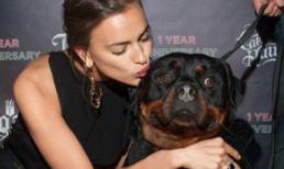 Bồ CR7 hôn... cún trước ống kính máy ảnh