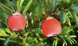 Thứ Ba của bạn (20/3/2012)