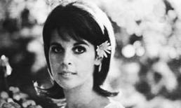 Bi thảm chuyện tình Longet-Sabich Kỳ 4: Cuộc đời là một bãi biển