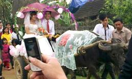 Chuyện nghiêm túc sau màn rước dâu bằng xe trâu hài hước