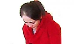 Con gái nhà báo Hoàng Hùng xin giảm tội cho mẹ