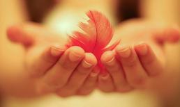 Tạm biệt nhé tình yêu của tôi!