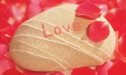 Thứ bảy của bạn (24/3)