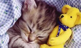 Chủ Nhật của bạn (25/3/2012)