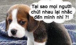 Những "chiêu cười độc" của cộng đồng (P25)