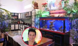 Thăm biệt thự tràn sắc xanh của ca sĩ Nguyễn Hưng