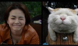 "Cười nóng" 10h10: Đinh Ngọc Diệp và Johnny Trí Nguyễn "đạo" ý tưởng! (P104)