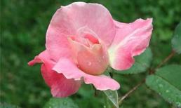 Thứ sáu của bạn (30/3)