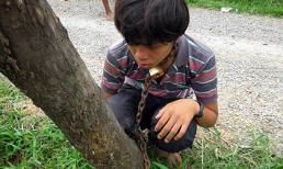 Bị bố xích cổ vì tội chơi Game online