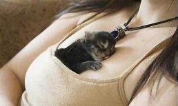 Những "chiêu cười độc" của cộng đồng (P31)