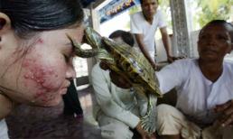 Những cách chữa bệnh có 1-0-2 trên thế giới