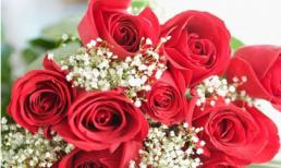 Những lời chúc hay và ý nghĩa dành tặng ngày 8/3 (P3)