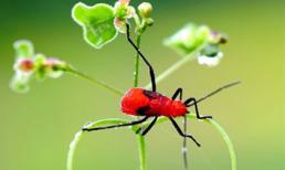 Thứ ba của bạn(06/03/2012)