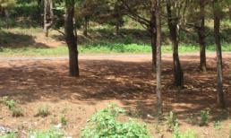 Thiếu nữ bị người yêu đốt cháy giữa đêm khuya