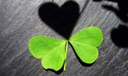 Nhật ký 8/3 của nàng độc thân