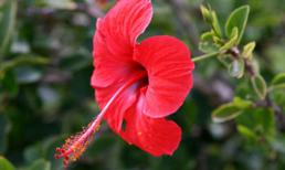 Thứ năm của bạn (8/3)