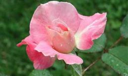 Thứ bảy của bạn (10/3)