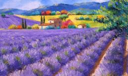 Chủ nhật của bạn (1/4)