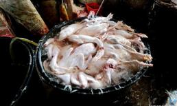 Video: kinh hoàng công nghệ làm lông gia cầm chỉ trong một phút