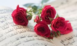 Thứ Ba của bạn (10/4/2012)