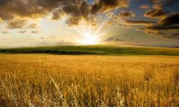 Thứ tư của bạn (11/4)