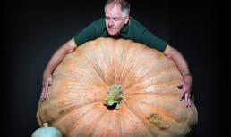 Kỷ lục những thực phẩm to nhất thế giới