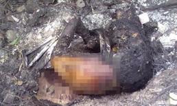 Vụ giết người đốt xác phi tang: Tiếc thương