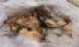 Tìm thấy nhiều phần thi thể người dưới đáy hồ