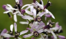 Thứ ba của bạn (17/4)